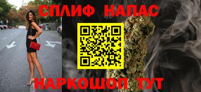 МДПВ Пугачёв