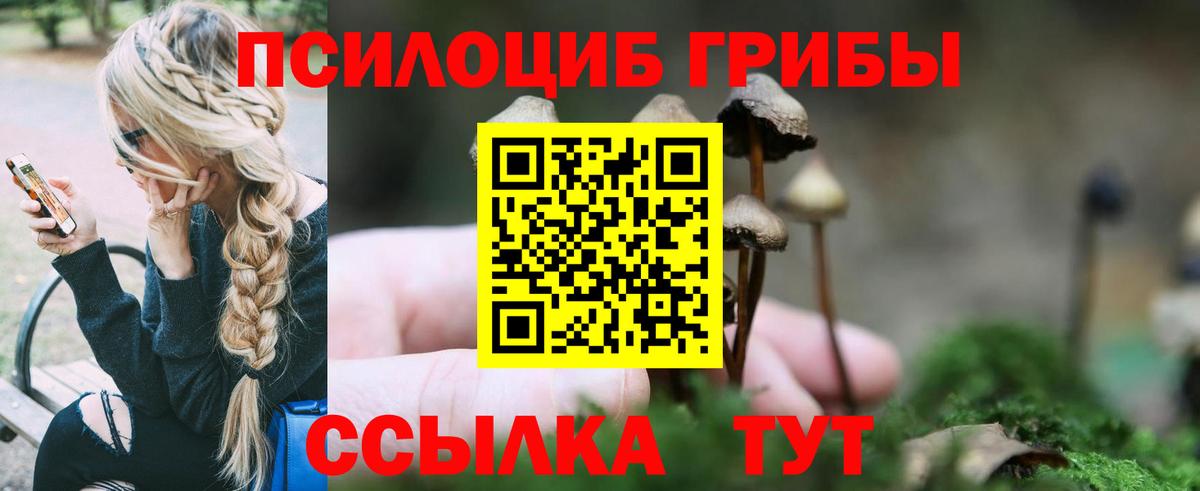 Псилоцибиновые грибы мухоморы  Вход с VPN  Оренбург 